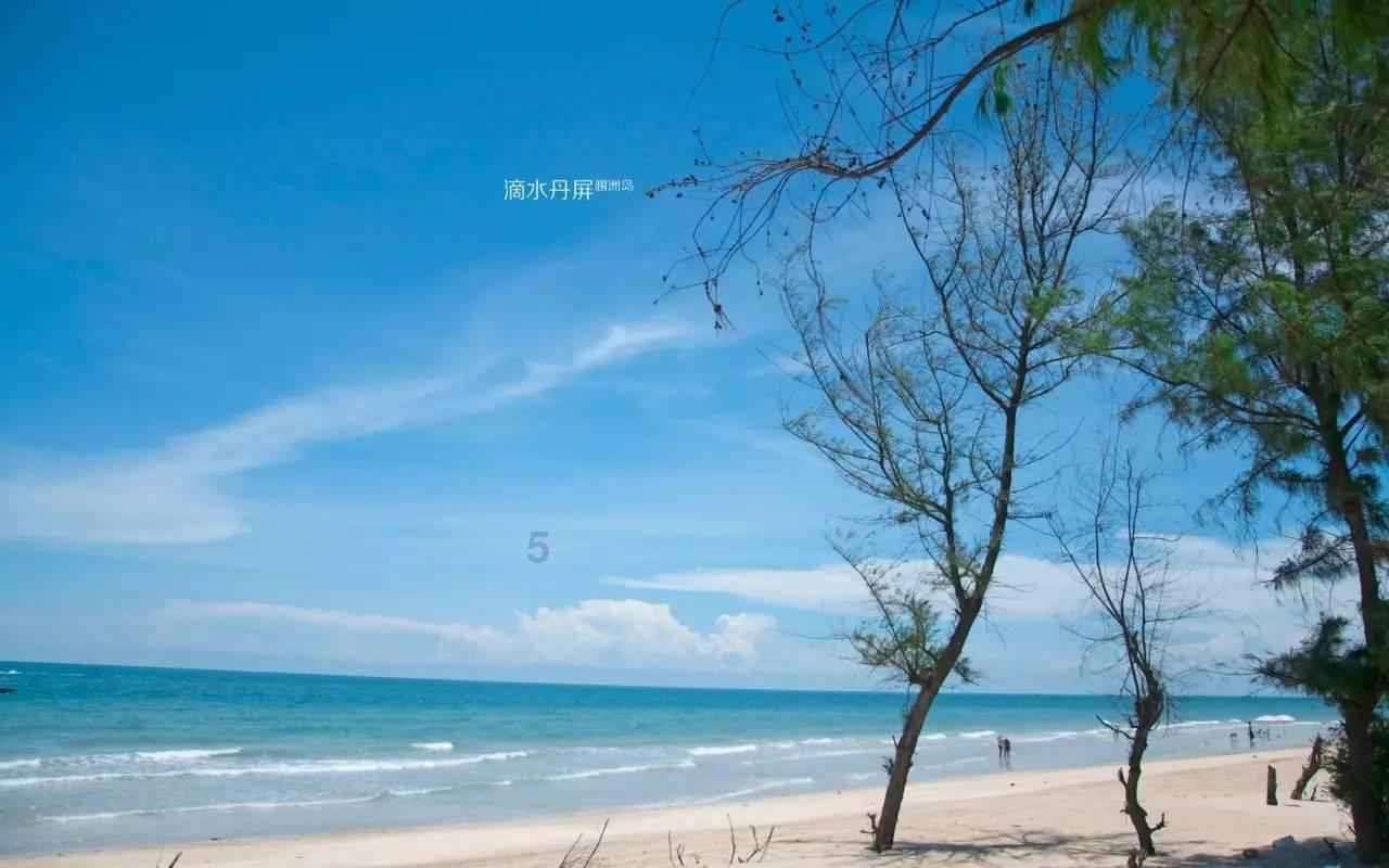 老师休息天可以帮忙家人卖猪肉吗?- 200步激发你的思考