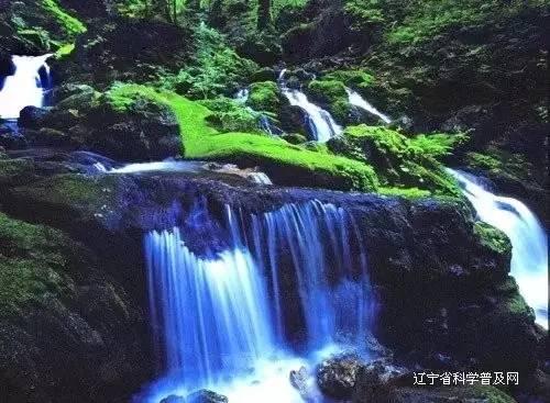 探索自己的抖音号在哪看?,解疑答惑,聚集智慧分享